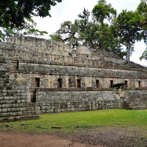 Copan1